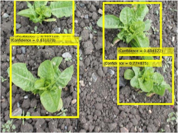 Farm Weed Detection  And Management System [Ref: TT10015]