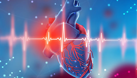 Heart Failure Prediction System [Ref: TT10095]